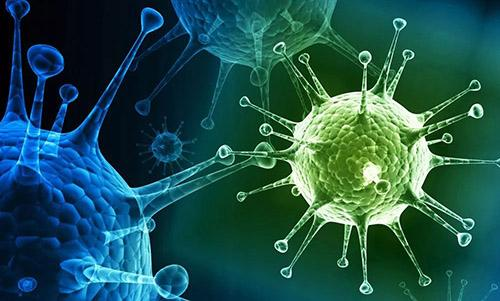 日本NMN长寿因揭示抗病毒增强免疫力四途径
