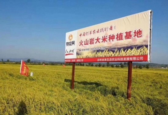 物农网链接餐桌到田间,订单农业实现“舌尖上的自由”