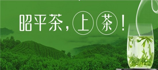 昭平茶，中国大陆早春第一茶