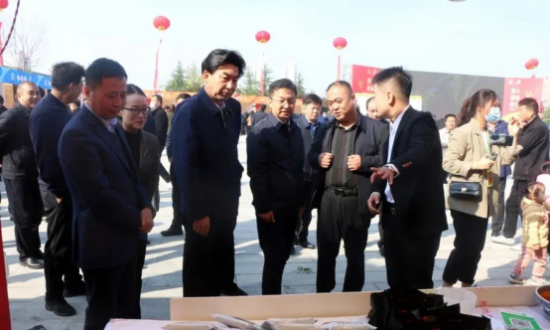 云图片