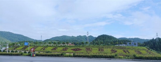 云圖片