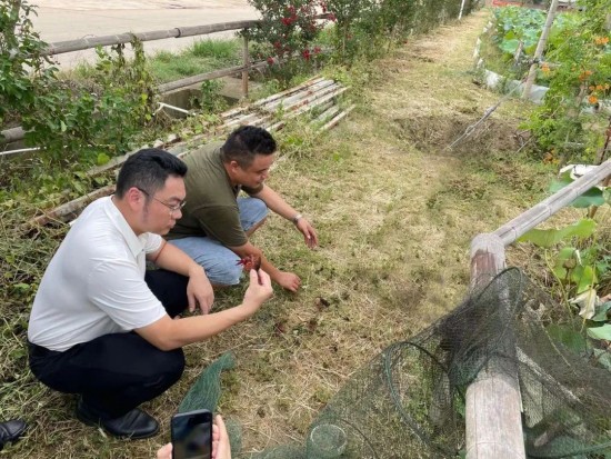 云图片