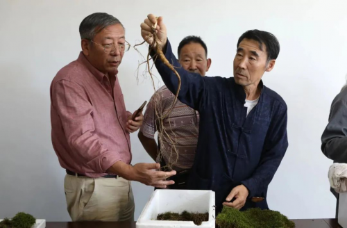 云图片
