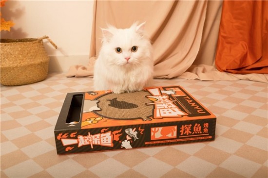 云图片