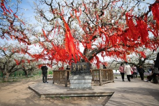 云图片
