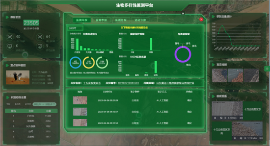 云图片